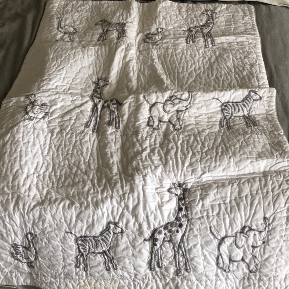 Pottery barn kids baby blanket.